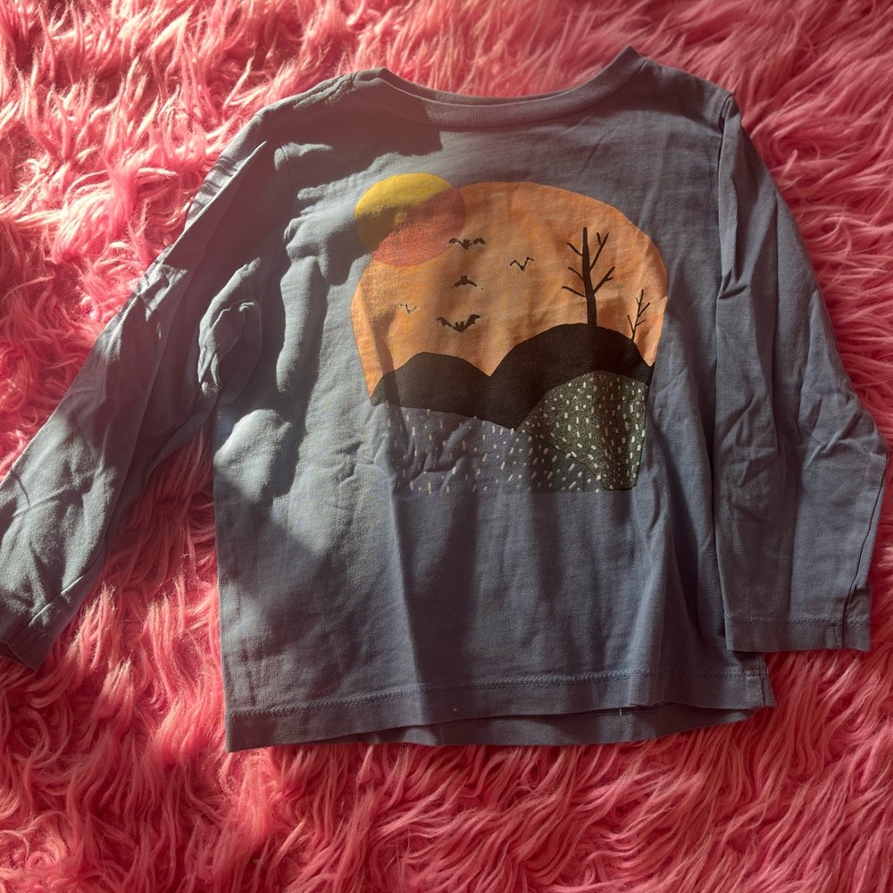 Gymboree Blue and Orange Long Sleeve Tee with Nature Graphic